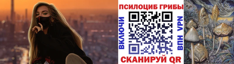 Купить  Цоци-Юрт  Галлюциногенные грибы ЛСД 