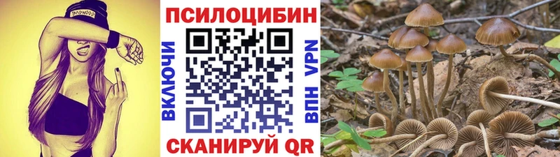 Галлюциногенные грибы ЛСД Цоци-Юрт